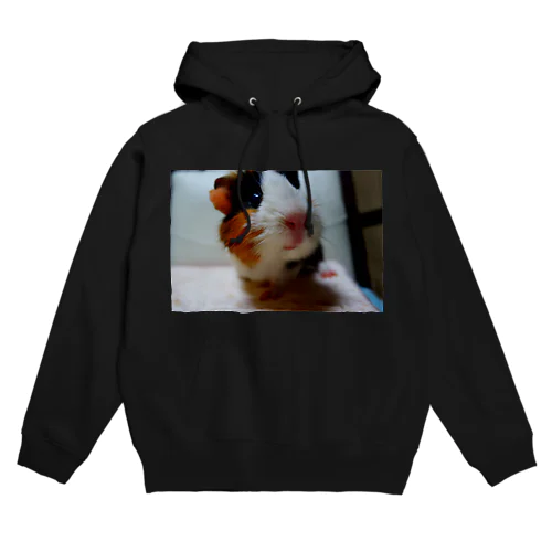 ご長寿健康モルモット Hoodie