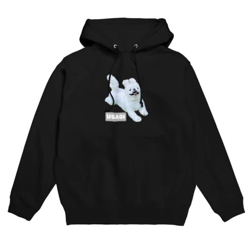 困り顔ペキニーズこはるのUSAGIシリーズ Hoodie