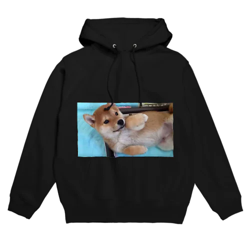 犬だよ〜 Hoodie