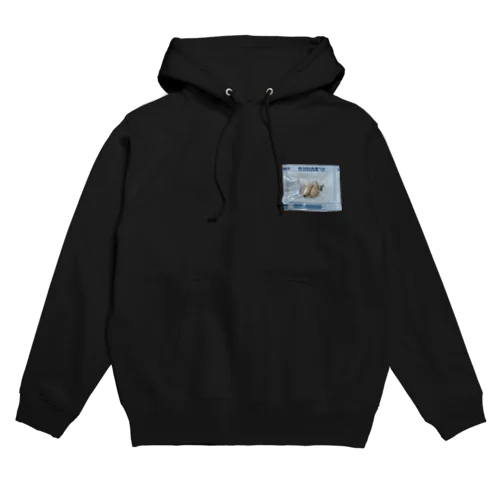 オヤシラズ Hoodie