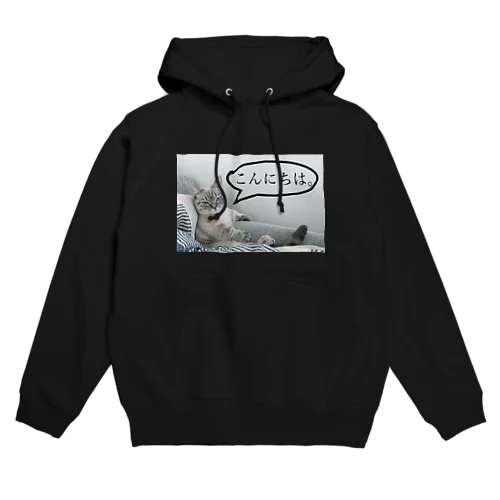 ポムこんにちは。 Hoodie