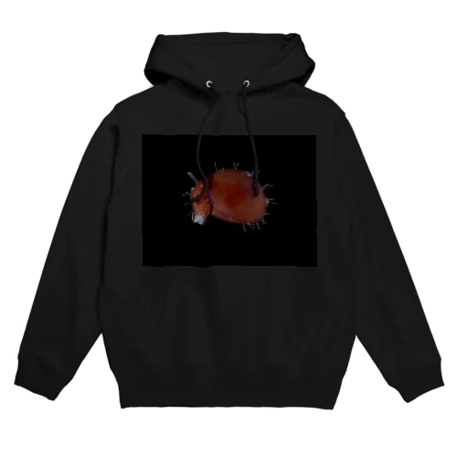 ヒメヘソイレコダニ Hoodie