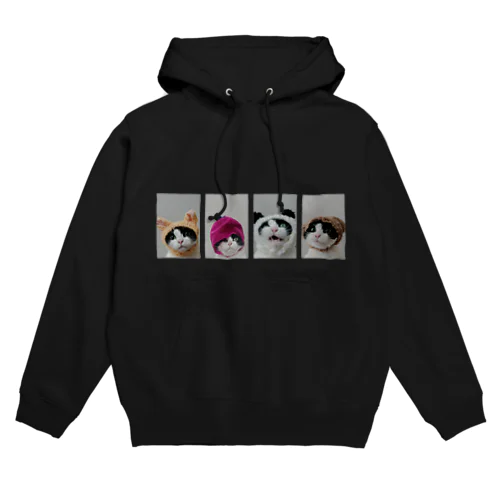 はちわれ猫の証明写真 Hoodie