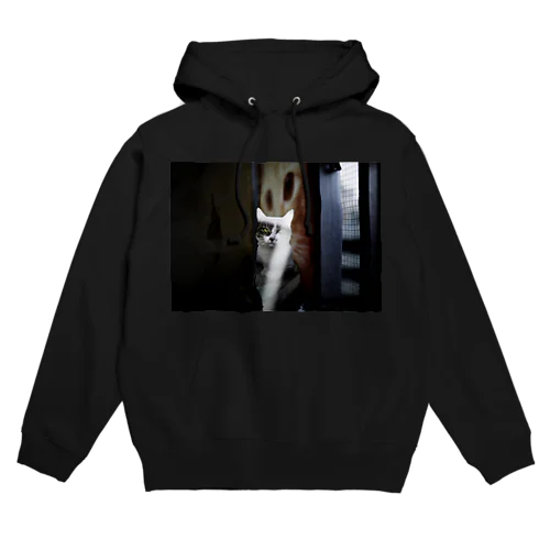 正面からみたねこ Hoodie