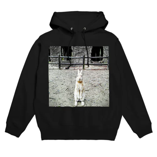 アニマル6 Hoodie