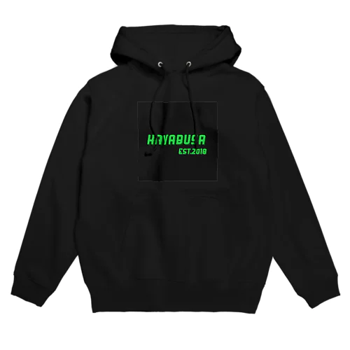 Hayabusa.2019 Hoodie