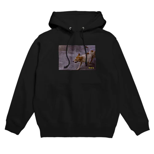 ベトナムの犬 パーカー Hoodie