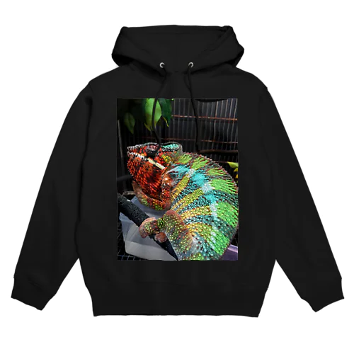 カメレオン Hoodie