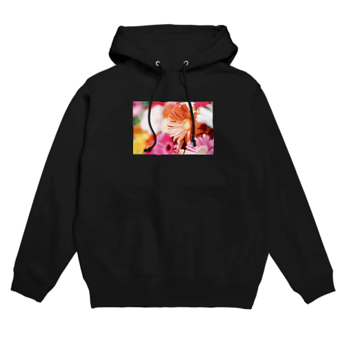 ガーベラ Hoodie