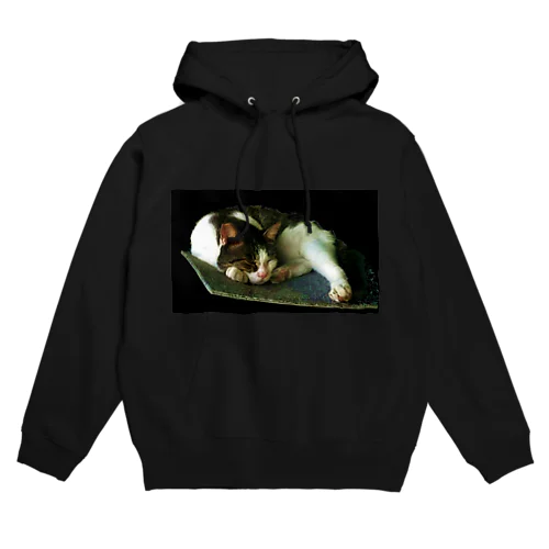 A cat in the dark Hoodie