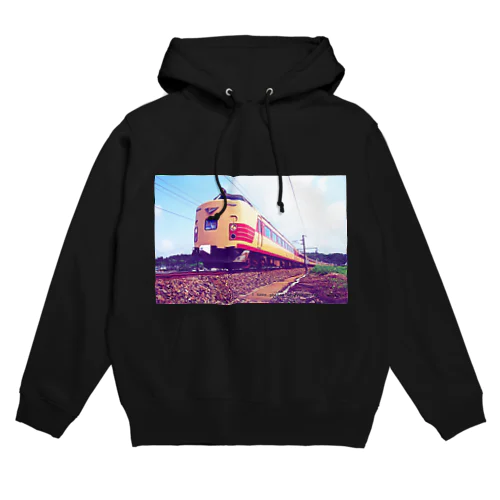 電車雷鳥 Train mania Hoodie