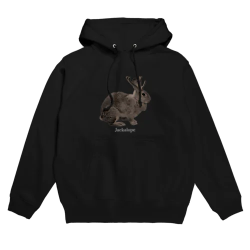 未確認動物 Hoodie