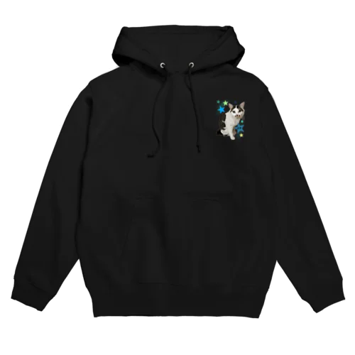 正宗くん⭐ Hoodie