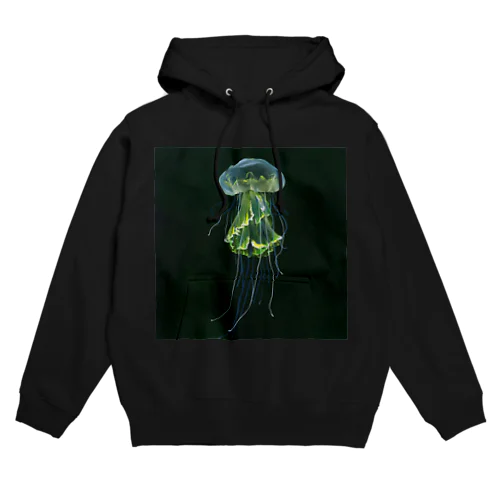 未知 Hoodie
