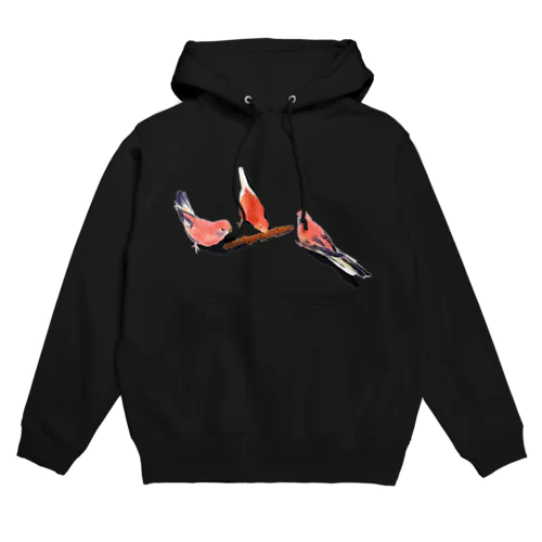 アキクサインコと粟 Hoodie