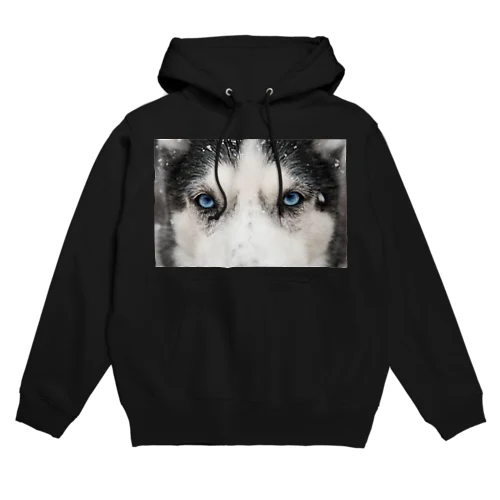 husky vol.4 Hoodie