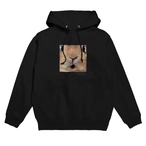 USAGIZUKI うさぎのアップ Hoodie