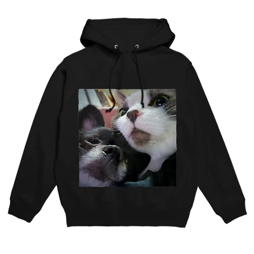 お兄ちゃんはネコチャン Hoodie