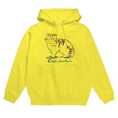 エキゾチックショートヘア Hoodie