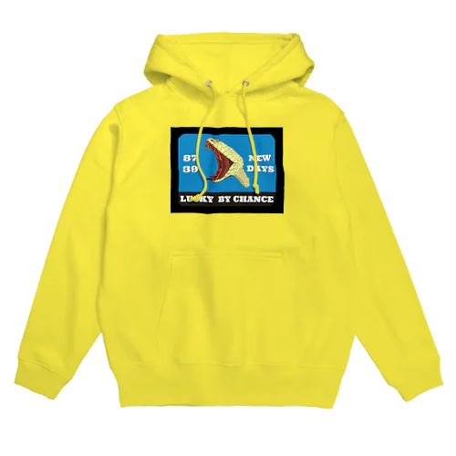 NEW DAYS Hoodie