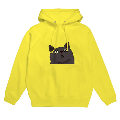 wow！ Hoodie