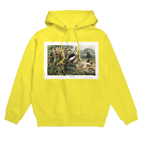 オカメインコ Hoodie