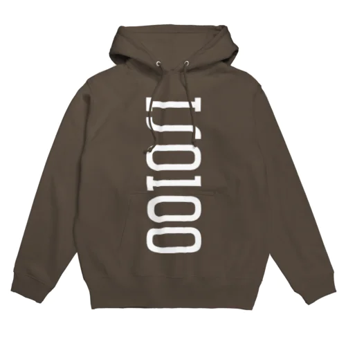 iso100 Hoodie