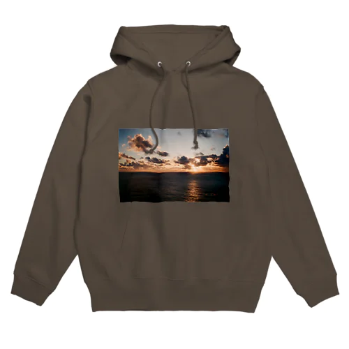 OGASAWARA Hoodie