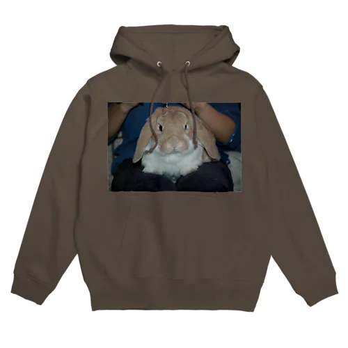 アンゴラうさぎ Hoodie