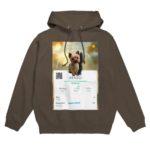 Kénzo GO Hoodie