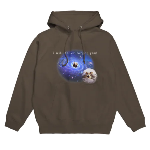 宇宙に吸い込まれていくラッコ  Hoodie