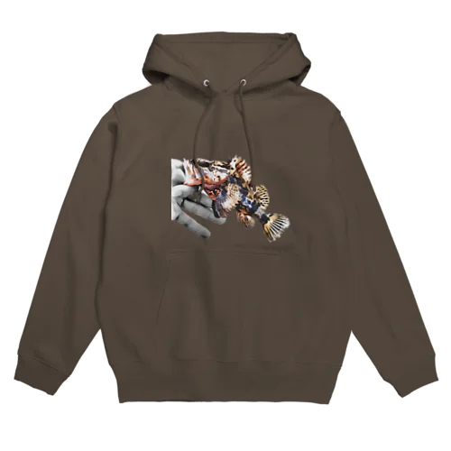 Catch Fish Hoodie