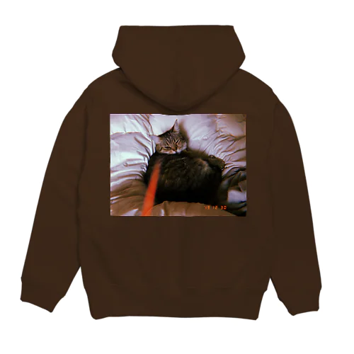 bed room cat Hoodie