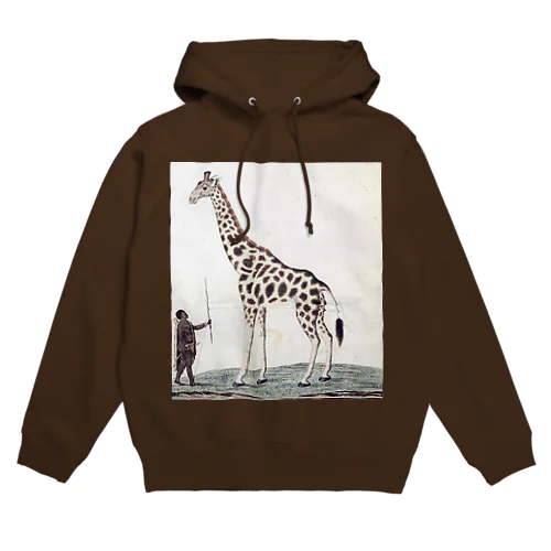 キリン（Giraffa Camelopardalis）、ロバート・ジェイコブ・ゴードン、1779年 パーカー