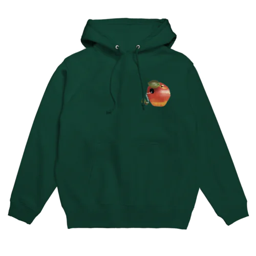 Apple with the caterpillar  Hoodie