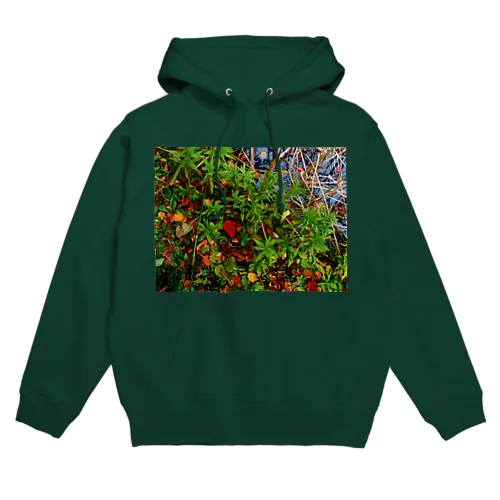 秋の水辺　DATA_P_145 Hoodie