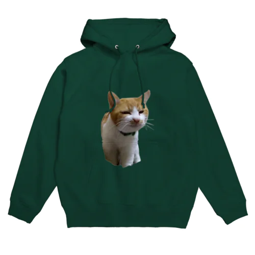 来ましたウザいやつ 2 Hoodie