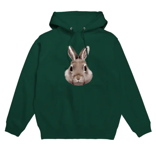 もふウサギ Hoodie