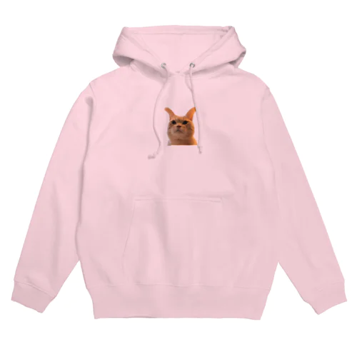 コッペさんコッペケペー Hoodie