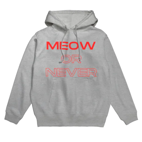 meow or never Hoodie