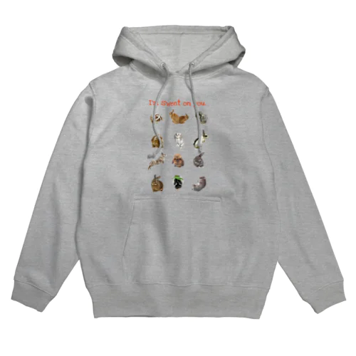 いろんなうさぎさん Hoodie