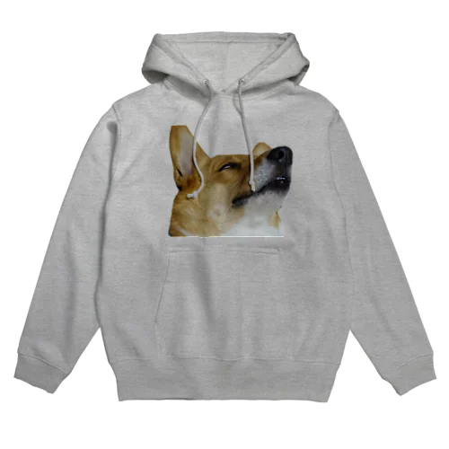 犬の寝顔(なまこチャンジャ様) Hoodie