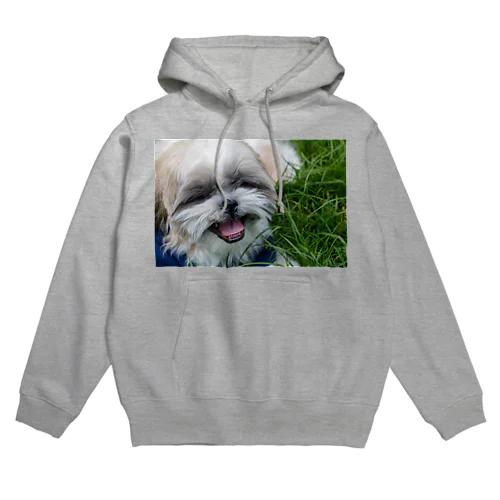 シーズー犬のあぽろん Hoodie