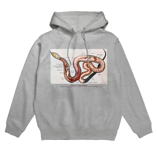 ヘビの解剖 Hoodie