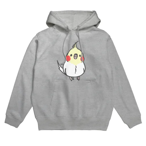 コロコロオカメインコ Hoodie