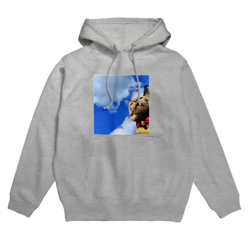 たぬ空 Hoodie