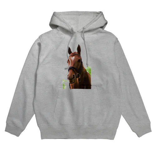 牧場 乗馬 馬術の馬 Hoodie