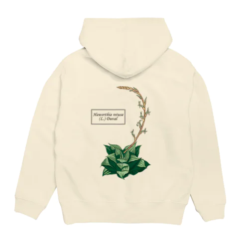 ハオルチア レツーサ （Haworthia retusa） Hoodie