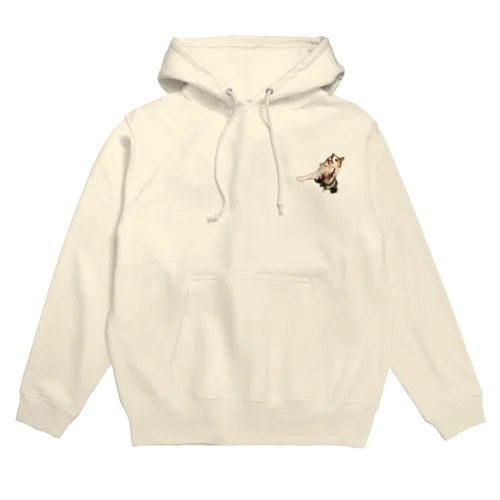 大天使ねこのじゃれ Hoodie