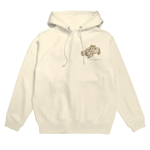 Barbourula kalimantanensis Hoodie